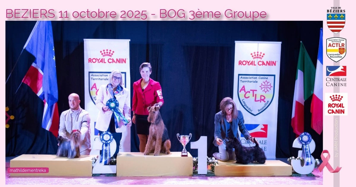 Alagaesia - Meilleur du Groupe des terriers !!