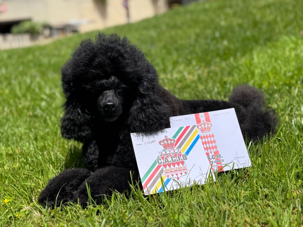 championne International & championne de Monaco